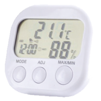 Digital-Thermometer