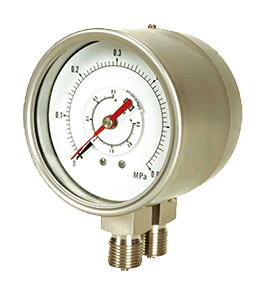 Duplex-Pressure-Gauge